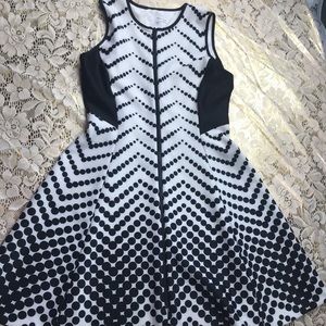 Studio one zip front geometric polka dot dress 12